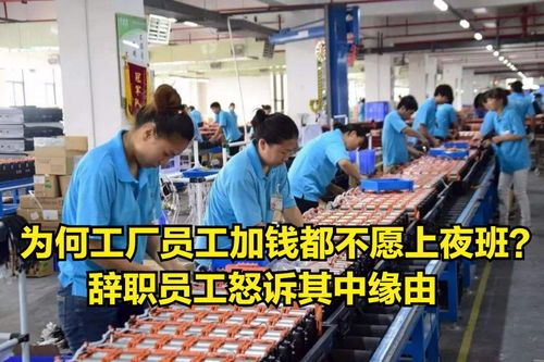 为何工厂员工不愿上夜班 连加钱都不管用 辞职员工怒诉其中缘由