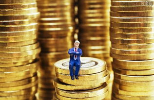 瓜牛钱包评测 功能、逾期政策与钱币投资方法