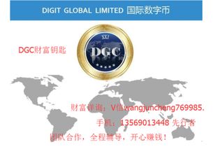 钱币投资指南 保值增值的艺术与策略