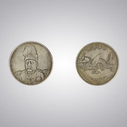 民国袁像飞龙银币 钱币投资中的璀璨明珠